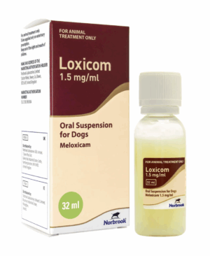 Loxicom for Dogs and Cats -– Oral Suspension