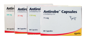 Antirobe capsules