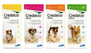 Credelio tablets for dogs