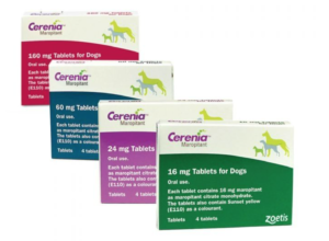 Cerenia tablets for dogs