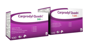 carprodyl quadri