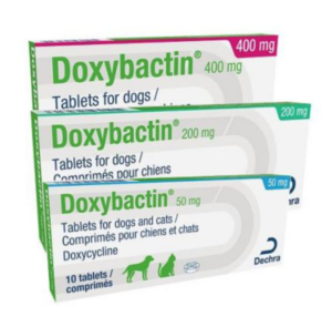 Doxybactin tablets antibiotics dogs cats