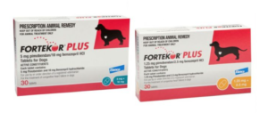 fortekor plus tablets dogs