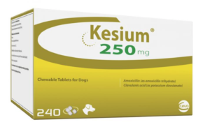 kesium tablets dog