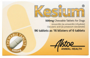 kesium tablet dog cat