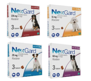 nexgard dog