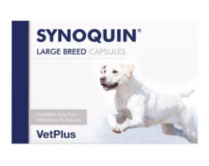 synoquin joint supplement for dogs