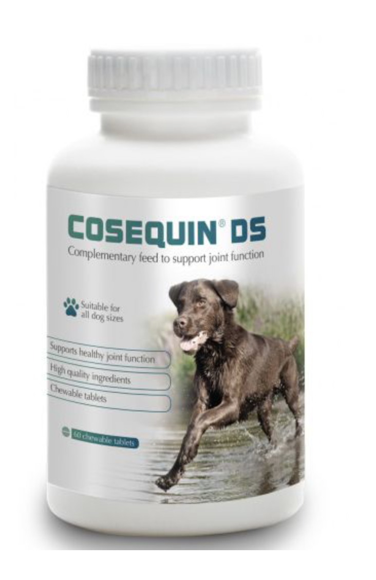when should you start giving your dog cosequin