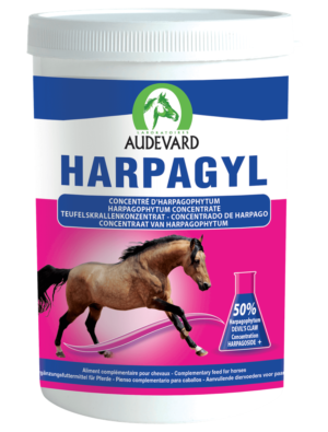 Harpagyl joint supplement horse