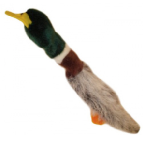 dog toy mallard pheasant