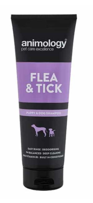 animo logy flea and tick shampoo