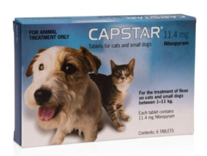 capstar tablets dogs and cats