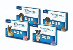 effipro dogs