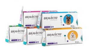 Bravecto spot on for dogs