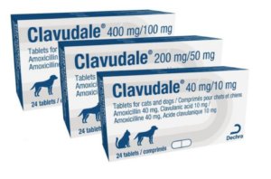 Clavudale tablets