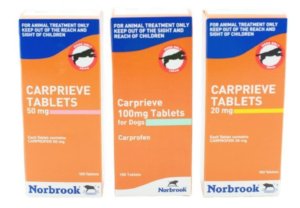 Carprieve tablets