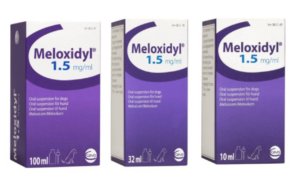 meloxidyl for dogs