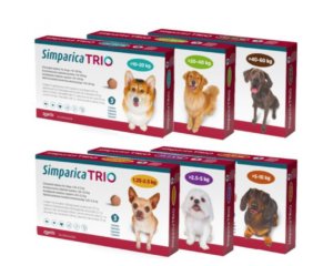 simparica trio dog