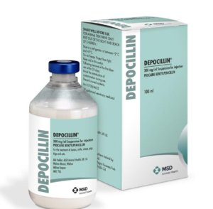 depocillin injectable penicillin