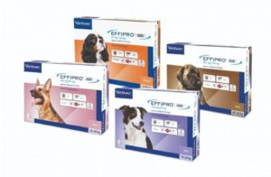 effipro duo dog