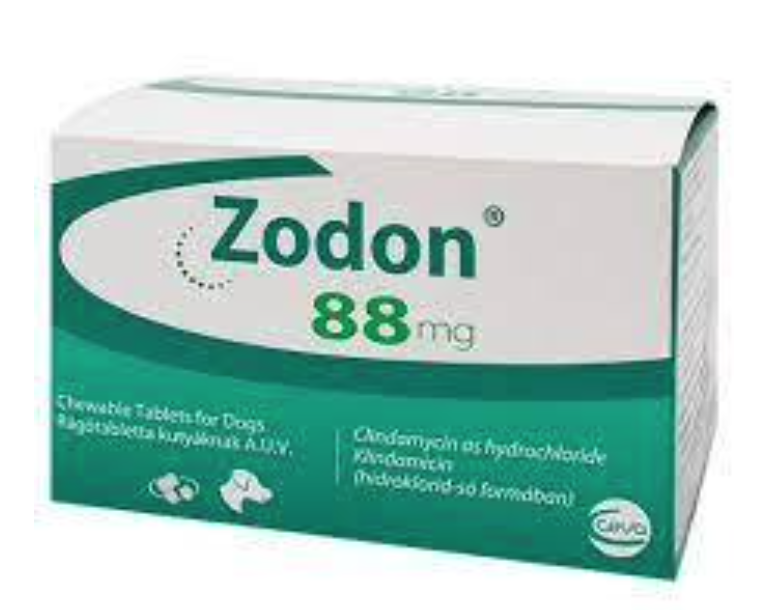 Zodon 25mg/ml Oral Solution for Dogs and Cats 20ml Cura
