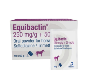 packet of 10 equibactin oral powder sachets for horses
