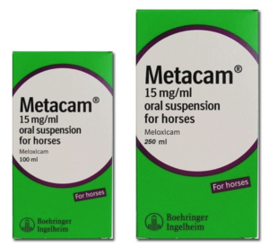 metacam oral horse