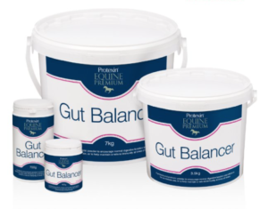 Protexin Gut balancer tub sizes