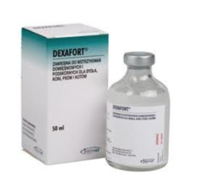 Dexafort injection