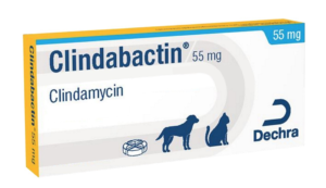 Clindabactin tablets dogs cats