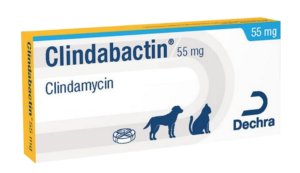 Clindabactin tablets dogs cats