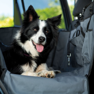 Henry Wag Pet Car Hammock