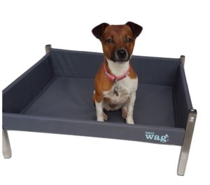 Henry Wag Elevated Dog Bed