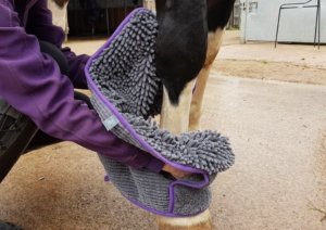 Henry Wag Equine Noodle Glove towel