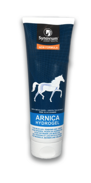 synovium arnica hydrogel for horses