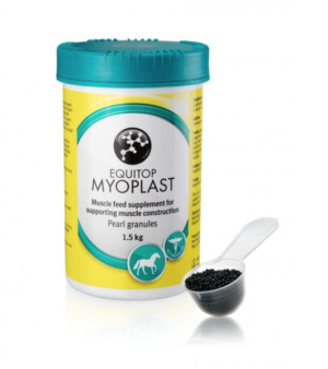 equitop myoplast for horses