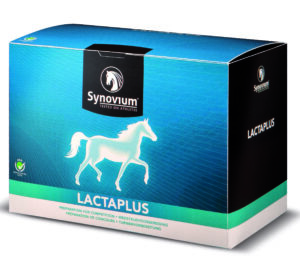 synovium lactaplus powder
