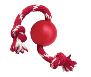 kong ball with rope dog toy