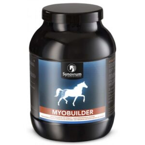 synovium myobuilder horse