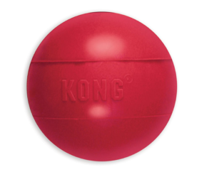 kong ball dog toy