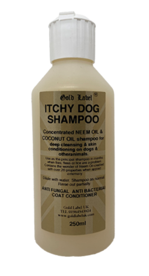 itchy dog shampoo for dogs