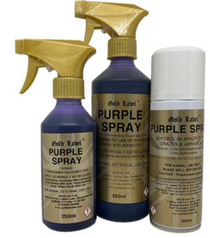 purple spray horse