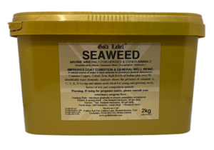 seaweed supplement for horses