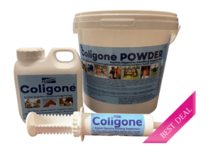 coligone starter pack for horses