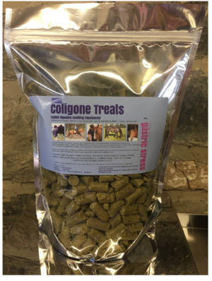 coligone healthy treats