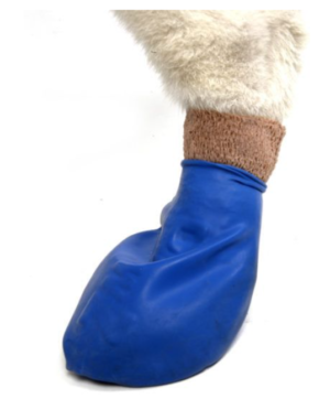 paw dog boots in blue