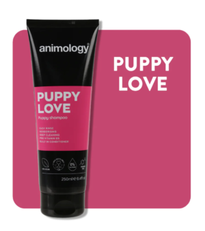 animology puppy love shampoo