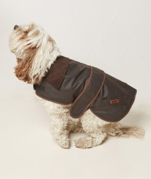 fat face sussex wax dog coat