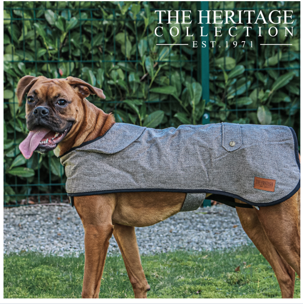 Ancol Heritage Collection Herringbone Coats for Dogs Cura