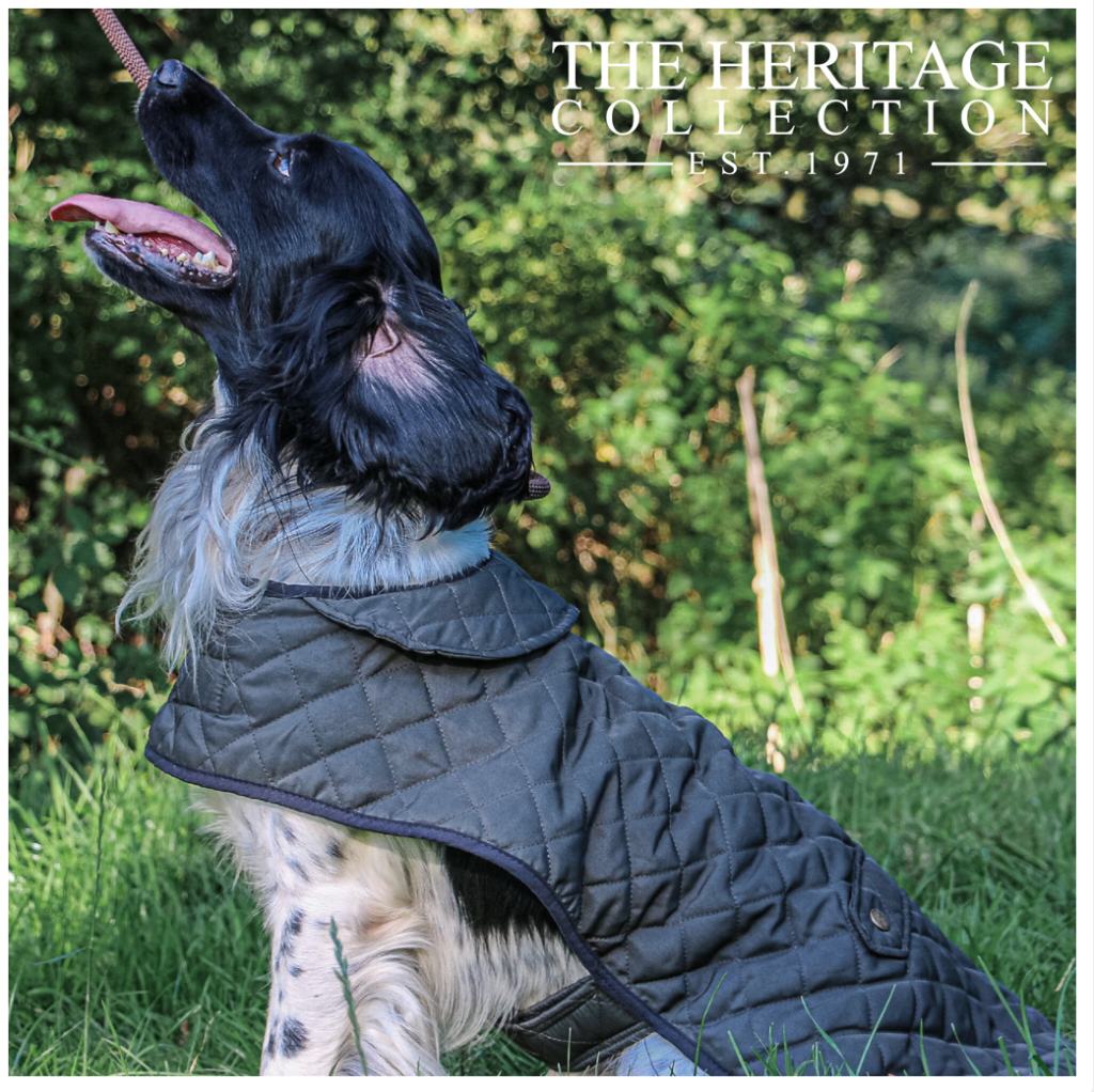 Ancol The Heritage Collection Quilted Coat for Dogs Cura
